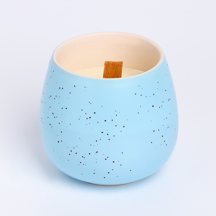 Свеча из соевого воска в кашпо «Нежность», 8×8 см, МИКС Свеча из соевого воска в кашпо «Нежность», 8×8 см, МИКС