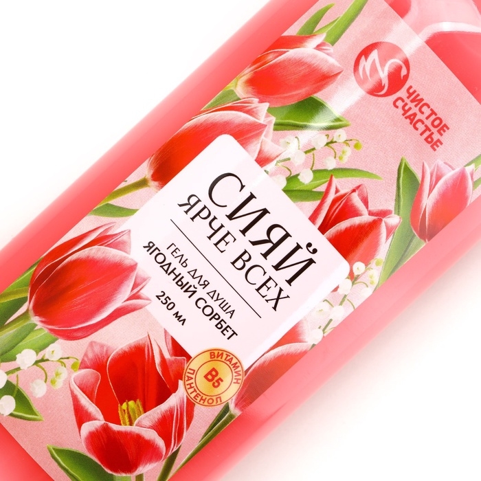 Гель для душа ЧИСТОЕ СЧАСТЬЕ «Сияй ярче всех», 250 мл, аромат ягодный сорбет Гель для душа ЧИСТОЕ СЧАСТЬЕ «Сияй ярче всех», 250 мл, аромат ягодный сорбет