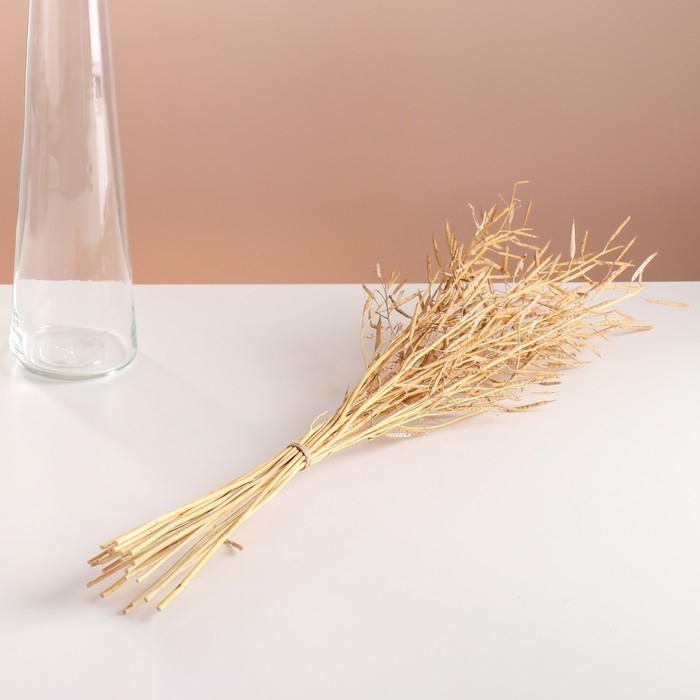 Набор сухоцветов "Горчица" банч длина 60 (+/- 6 см), натуральный