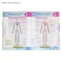 Энциклопедия 4D в дополненной реальности «Анатомия» Энциклопедия 4D в дополненной реальности «Анатомия»