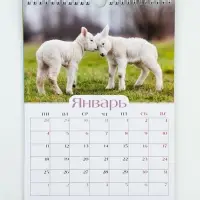 Календарь2027, настенный, перекидной &laquo;Символ года&raquo; 22&times;30 см, мини, с наклейками