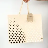 Подарочный пакет с шильдом Present, 49 &times; 40 &times; 19 см
