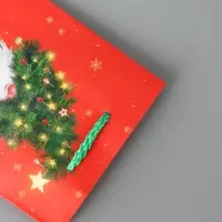 Пакет подарочный &laquo;Новогодний домовёнок&raquo;, 11.5&times;14.5&times;6.5 см