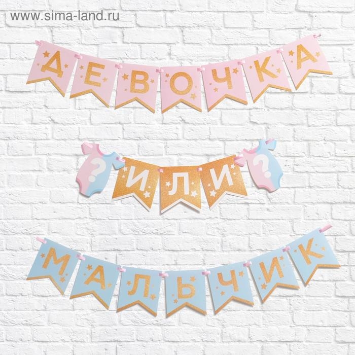 Гирлянда на ленте &laquo;Гендер пати&raquo;, мальчик или девочка, длина 220 см