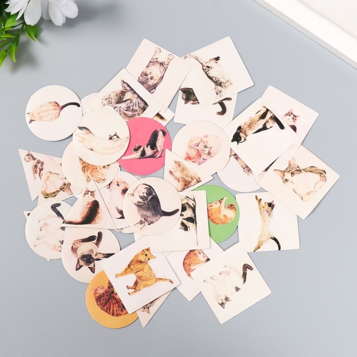 Набор наклеек Набор наклеек "Котейки" 40 шт в коробочке 3,8х3,8 см