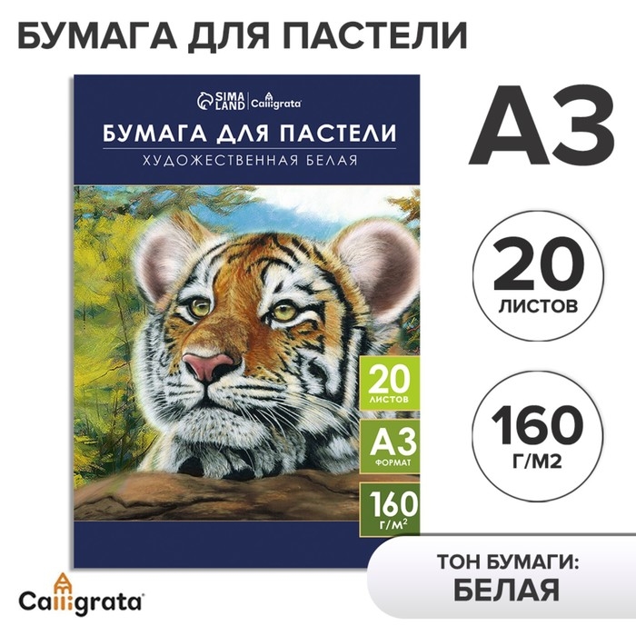 Бумага для пастели А3, 20 листов  Бумага для пастели А3, 20 листов "Тигр", блок 160 г/м2, в папке