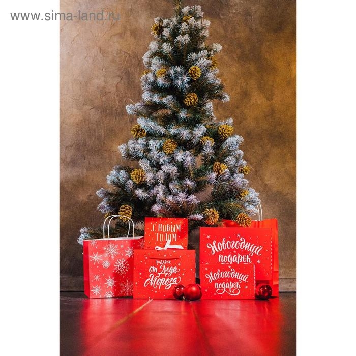 Коробка‒книга «Новогодний подарок», 20 х 12.5 х 5 см, Новый год Коробка‒книга «Новогодний подарок», 20 х 12.5 х 5 см, Новый год