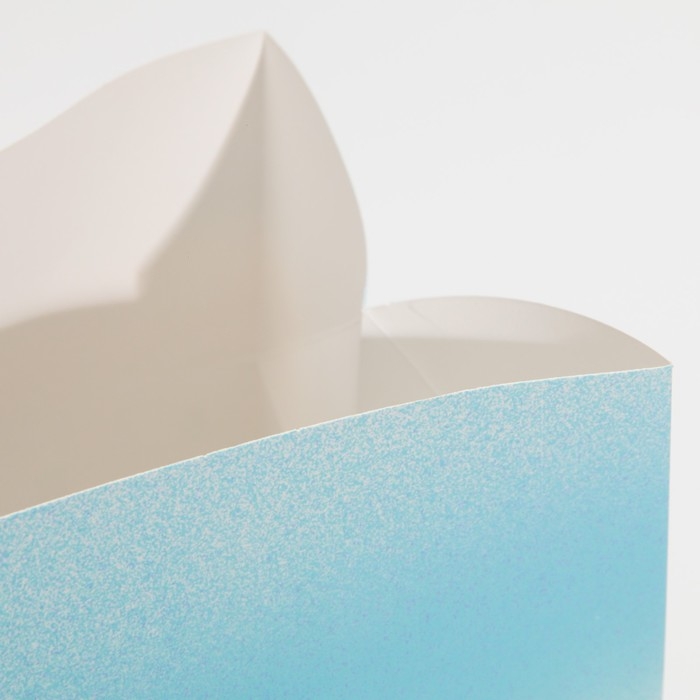 Пакет-коробка «Новый год вместе», 28 х 20 х 13 см, Новый год Пакет-коробка «Новый год вместе», 28 х 20 х 13 см, Новый год