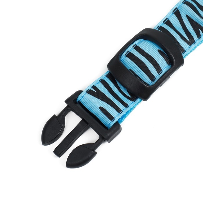 Ошейник с подсветкой Тигр 3 режима свечения, размер L, ОШ 48-60 х 2,5 см синий Ошейник с подсветкой Тигр 3 режима свечения, размер L, ОШ 48-60 х 2,5 см синий