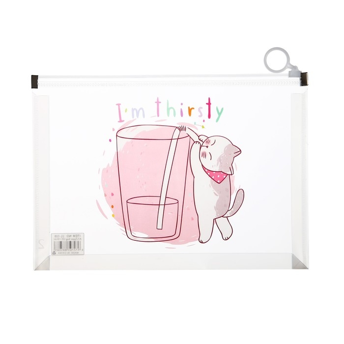 Папка-конверт на молнии формат А5, 180мкр, с рисунком Папка-конверт на молнии формат А5, 180мкр, с рисунком "Кот", МИКС