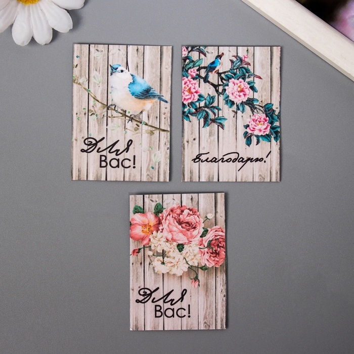 Набор открыток с семенами  Набор открыток с семенами "Вырасти сам" "Для вас" 5*7см 3 шт