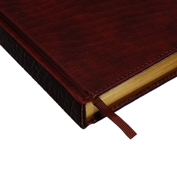 Ежедневник полудатированный, А5, 192 листа, линейка, обложка кожзам, золотой срез,  Ежедневник полудатированный, А5, 192 листа, линейка, обложка кожзам, золотой срез, "Крокодил", коричневый