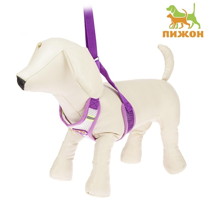 Шлейка регулируемая дышащая, светоотражающая, размер XL (ОШ 48-68; ОГ 58-72 см), фиолетовая Шлейка регулируемая дышащая, светоотражающая, размер XL (ОШ 48-68; ОГ 58-72 см), фиолетовая