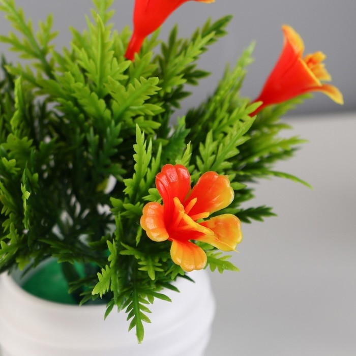 Бонсай в горшке Бонсай в горшке "Годеция монарх" 5,5х10 см, микс