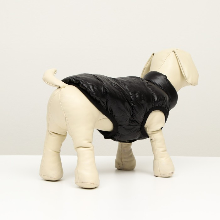 Куртка для собак двухсторонняя с принтом, размер 16 (ДС 36 см, ОГ 46 см, ОШ 35 см), чёрная Куртка для собак двухсторонняя с принтом, размер 16 (ДС 36 см, ОГ 46 см, ОШ 35 см), чёрная