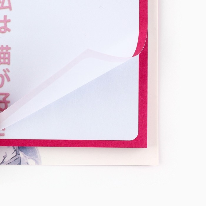 Книжка стикеров «Аниме девочка с кошкой», 5 блоков, 30 л Книжка стикеров «Аниме девочка с кошкой», 5 блоков, 30 л