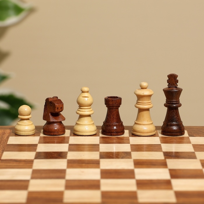 Игра настольная 2в1 (шахматы + бэкгэммон), доска 20х20 см, дерево шишам Игра настольная 2в1 (шахматы + бэкгэммон), доска 20х20 см, дерево шишам