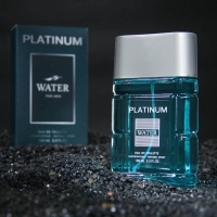 Туалетная вода мужская Platinum Water, 100 мл (по мотивам Blue Label (Givenchy)