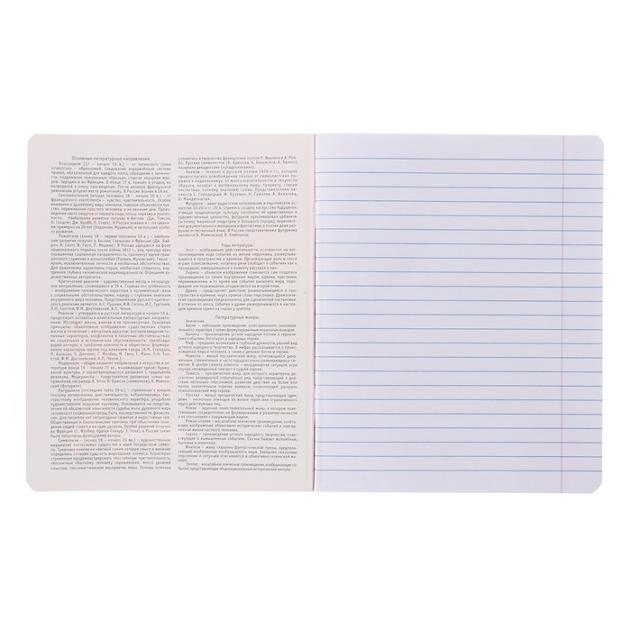 Тетрадь предметная "Пёс и Кот" 48 листов в линейку "Литература", обложка мелованный картон, металлизированная краска, ВД-лак, блок офсет