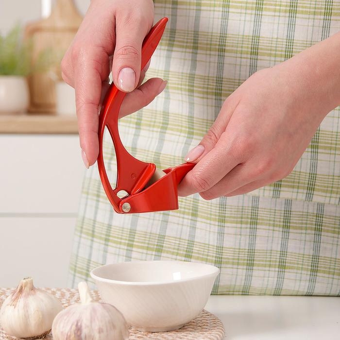 Пресс для чеснока Доляна «Краски», 16 см, цвет МИКС Пресс для чеснока Доляна «Краски», 16 см, цвет МИКС