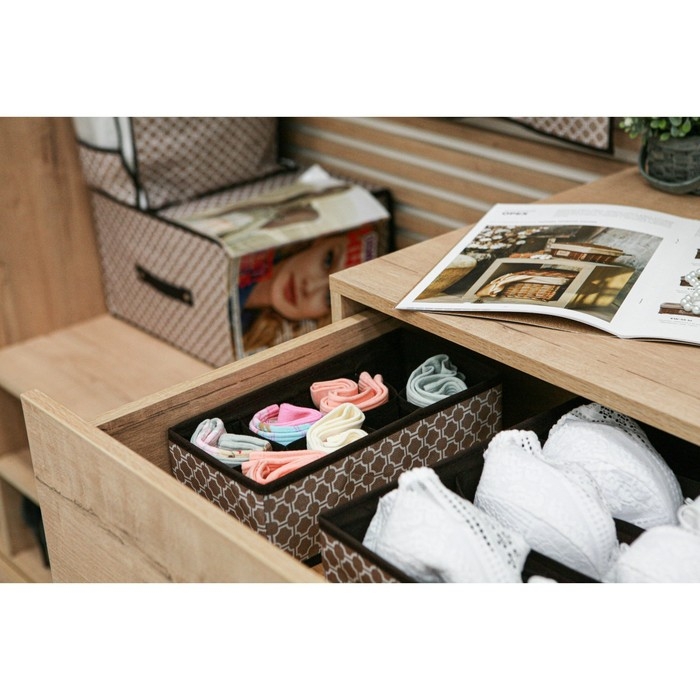 Органайзер для хранения белья Доляна «Браун», 8 ячеек, 28×14×10 см, цвет коричневый Органайзер для хранения белья Доляна «Браун», 8 ячеек, 28×14×10 см, цвет коричневый