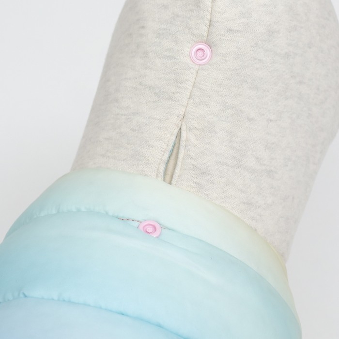 Комбинезон  Комбинезон "Для прогулки", размер 12 (ДС 24 см, ОГ 38 см, ОШ 27 см), пастельный