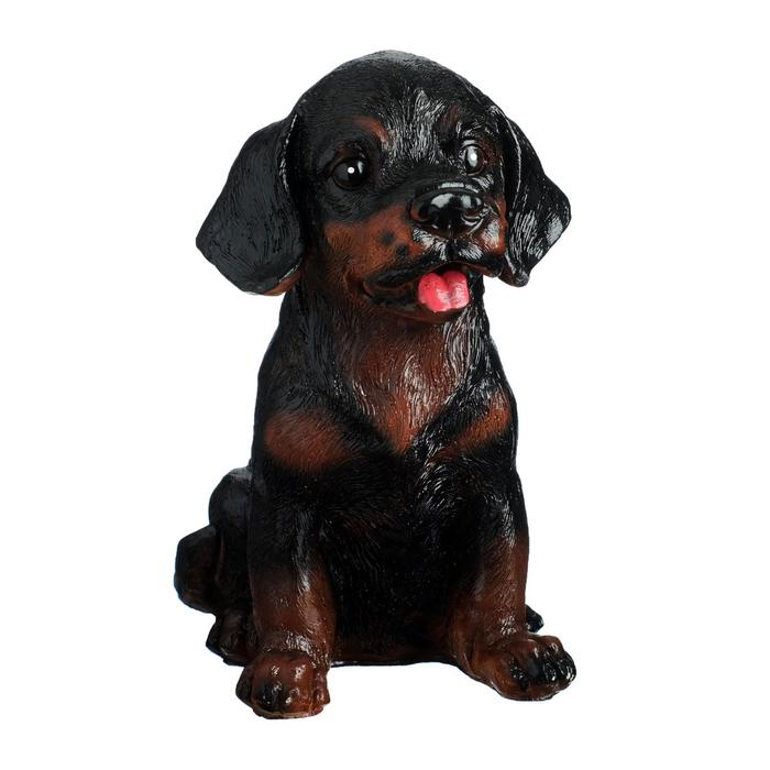 Копилка Копилка "Щенок ротвейлера" 28х20см