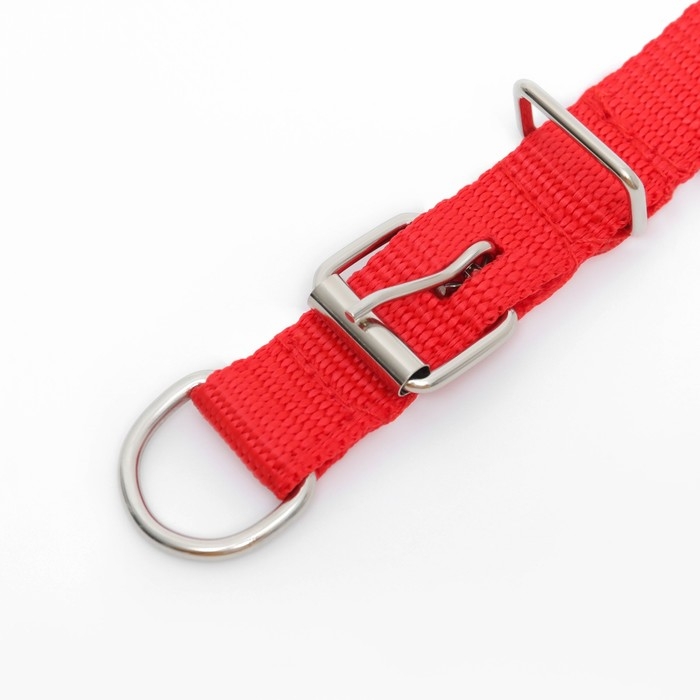 Ошейник Ошейник "Комфорт" комбинированный, 45 х 2 см, ОШ 30-39 см, красный