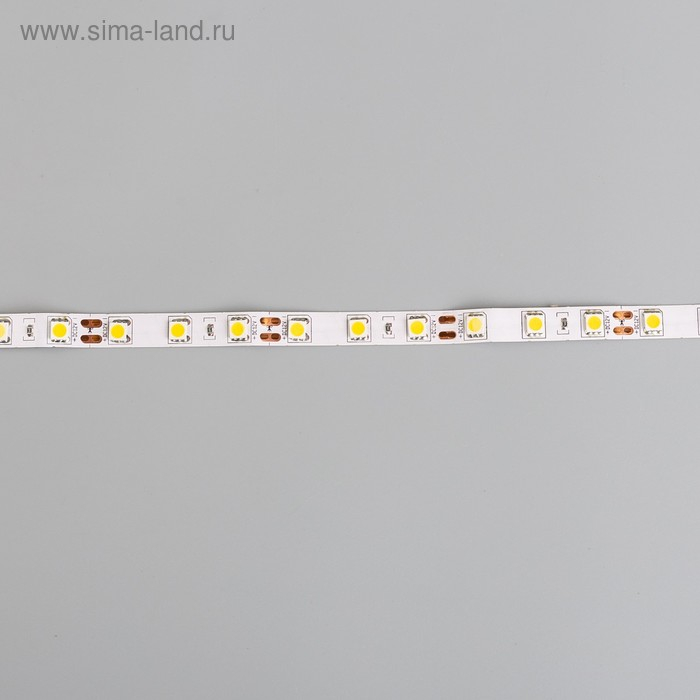 Светодиодная лента Ecola STD 5 м, IP20, SMD5050, 60 LED/м, 14.4 Вт/м, 12 В, 4200К Светодиодная лента Ecola STD 5 м, IP20, SMD5050, 60 LED/м, 14.4 Вт/м, 12 В, 4200К