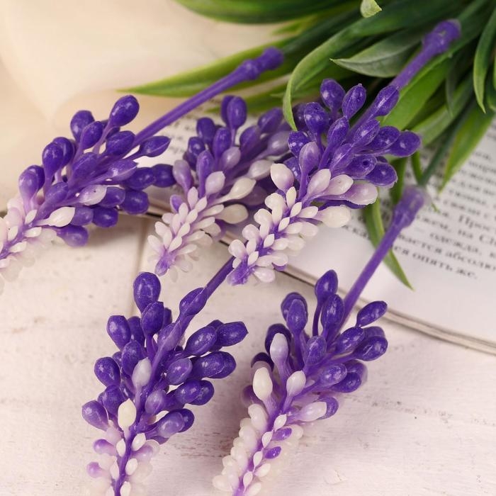 Букет Букет "Борец клобучковый" 30 см