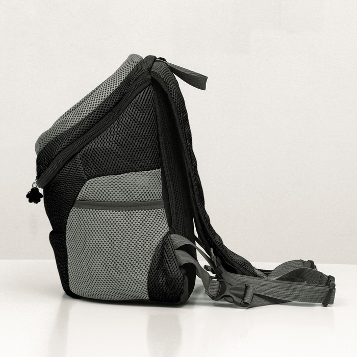 Рюкзак-переноска для кошек и собак, максимальный вес 10 кг, 30 х 16 х 34 см, чёрный Рюкзак-переноска для кошек и собак, максимальный вес 10 кг, 30 х 16 х 34 см, чёрный