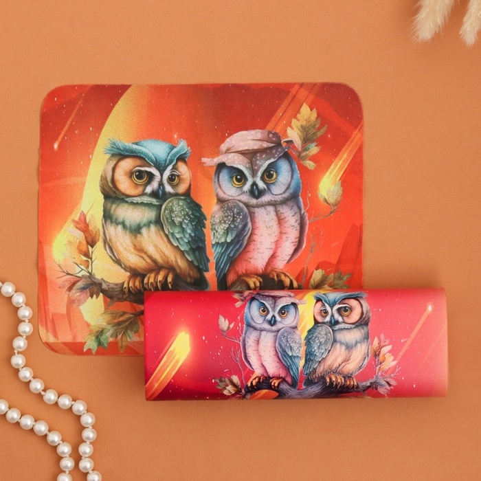 Очечник Очечник "Совы парочка", 17х7 см