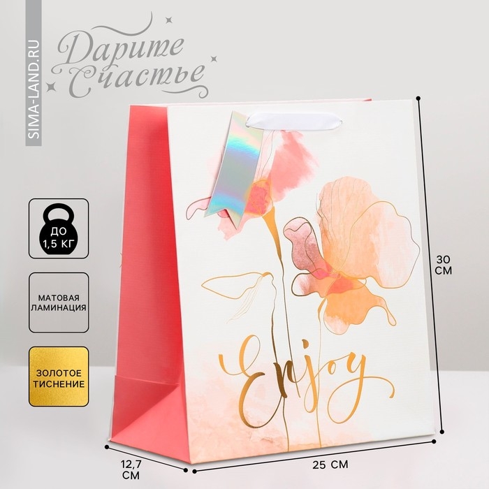 Пакет подарочный ламинированный, упаковка, «Нежность», 25.4 х 30.5 х 12.7 см Пакет подарочный ламинированный, упаковка, «Нежность», 25.4 х 30.5 х 12.7 см