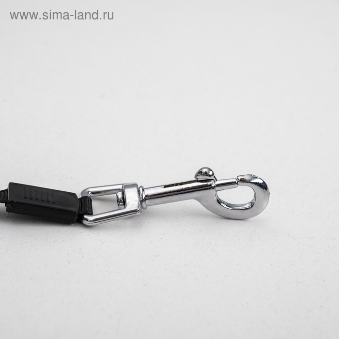 Рулетка с принтом  Рулетка с принтом "Стрим", 3 м, вес животного до 12 кг, расцветка нежные цветы