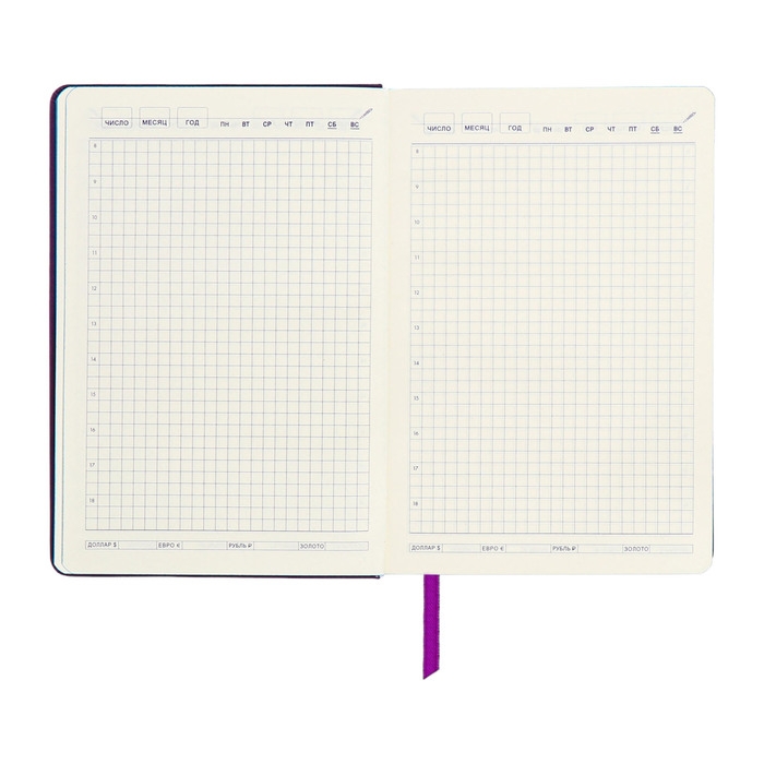 Ежедневник недатированный A5, 140л, клетка, кожзам, на резинке, синий срез, Фиолетовый Ежедневник недатированный A5, 140л, клетка, кожзам, на резинке, синий срез, Фиолетовый