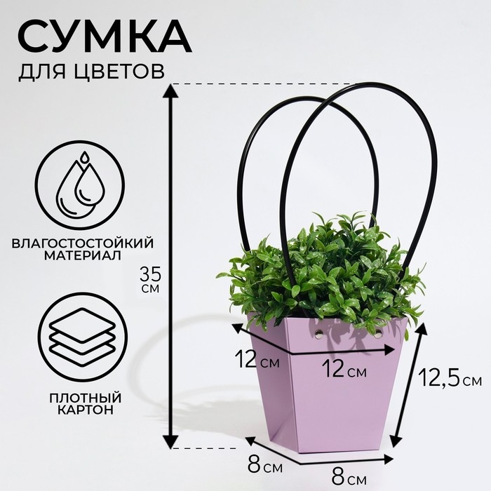 Сумка для цветов лиловая влагостойкая, 12x12-8 x 8-12.5 см Сумка для цветов лиловая влагостойкая, 12x12-8 x 8-12.5 см