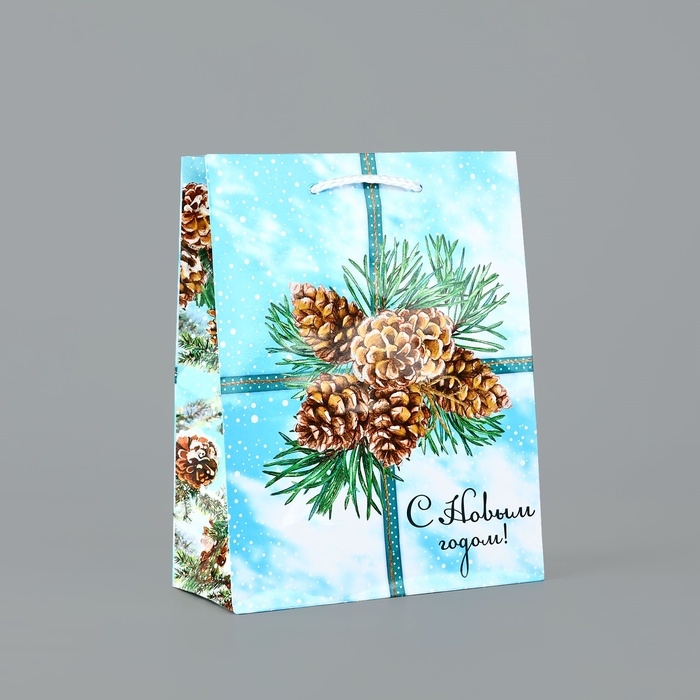 Пакет подарочный новогодний ламинированный «С Новым годом», шишки, MS 18 х 23 х 8 см, Новый год Пакет подарочный новогодний ламинированный «С Новым годом», шишки, MS 18 х 23 х 8 см, Новый год