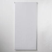 Штора рулонная «Механика. Блэкаут», 90×180 см (с учётом креплений 3,5 см), цвет светло-серый