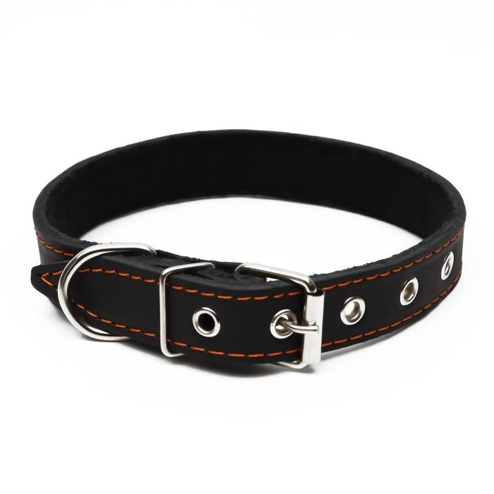 Ошейник кожаный на синтепоне, украшенный, 55 х 2.5 см, ОШ 35-45 см, черный Ошейник кожаный на синтепоне, украшенный, 55 х 2.5 см, ОШ 35-45 см, черный