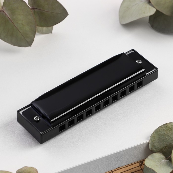 Губная гармошка Bee DF10A Black, 10 отверстий, 20 язычков Губная гармошка Bee DF10A Black, 10 отверстий, 20 язычков