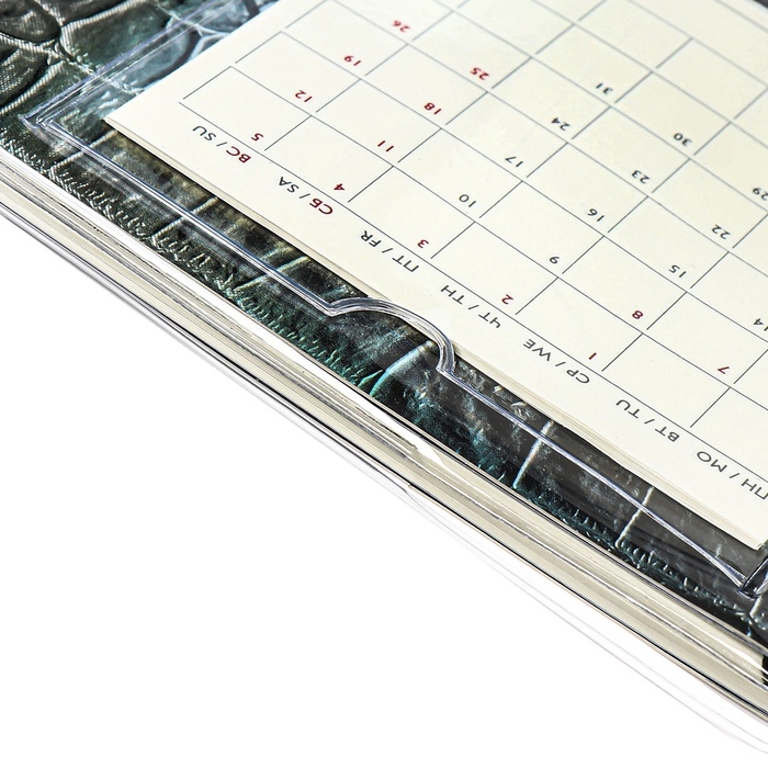 Еженедельник датированный 2025 год, ESCALADA  Еженедельник датированный 2025 год, ESCALADA "змея металлик", мягкая обложка ПВХ, 64 листа, блок 70 г/м², 180 х 127мм