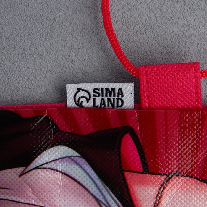 Мешок для обуви «Аниме девушка» полиэстер, размер 30 х 40 см Мешок для обуви «Аниме девушка» полиэстер, размер 30 х 40 см