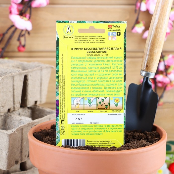 Семена цветов Примула  Семена цветов Примула "Розелла", смесь окрасок, F1, 7 шт