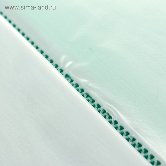 Папка с 20 вкладышами А5, 500 мкм, Calligrata, 9 мм, карман на корешке, зелёная Папка с 20 вкладышами А5, 500 мкм, Calligrata, 9 мм, карман на корешке, зелёная