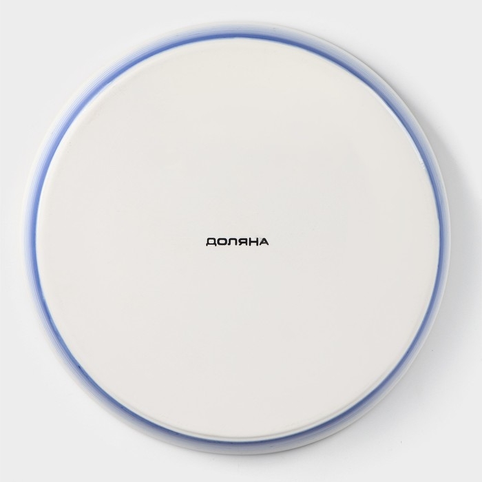 Форма для запекания из фарфора Доляна «Космос», 1000 мл, d=25 см, цвет синий Форма для запекания из фарфора Доляна «Космос», 1000 мл, d=25 см, цвет синий