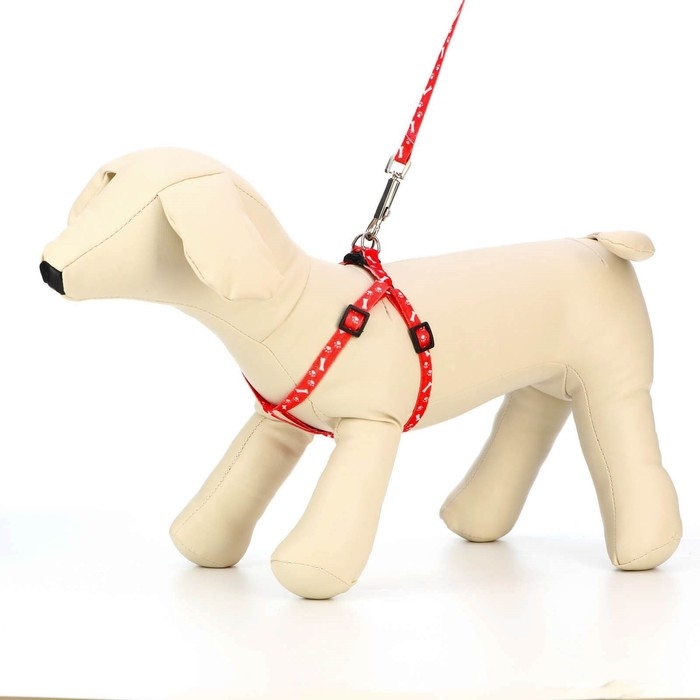 Комплект  Комплект "Классика", капрон, поводок 120 х 1 см, ОГ 21-35 см, красный