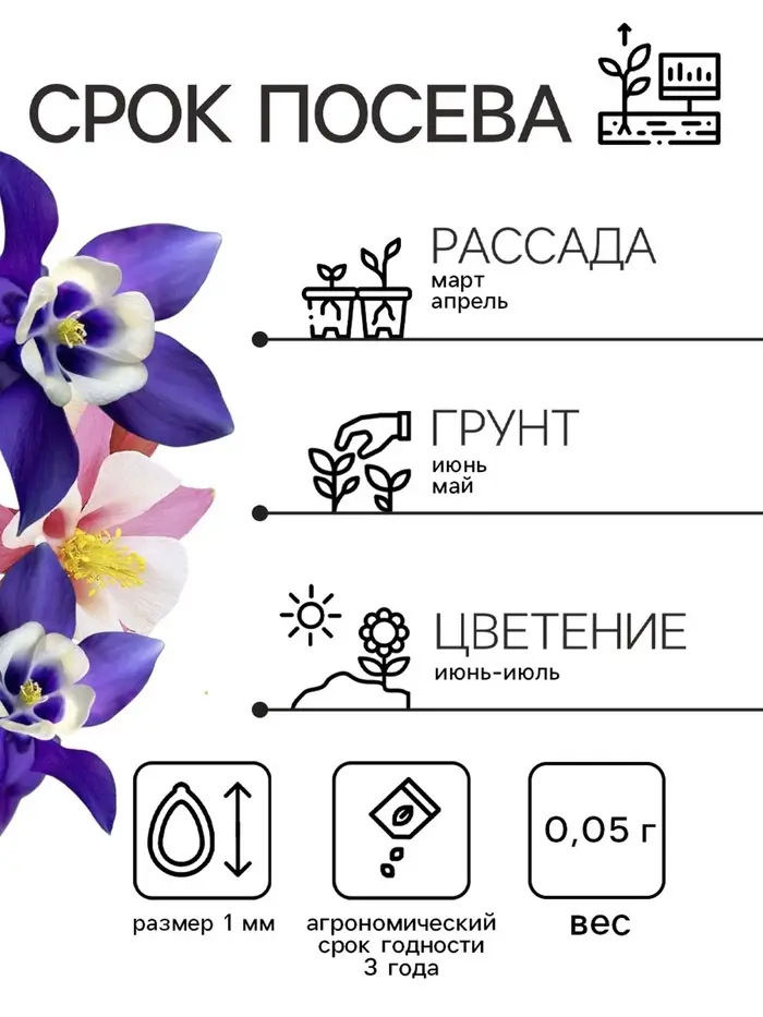 Семена аквилегия «Алтайский гигант», цветной пакет, 0.05 г Семена аквилегия «Алтайский гигант», цветной пакет, 0.05 г