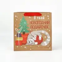 Пакеты подарочные новогодние &laquo;С новым годом&raquo;, набор 5 шт., 22&times;22&times;11 см