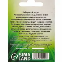 Минеральный камень для грызунов &laquo;Пижон&raquo;, фрукты, 18 г, набор 4 шт.