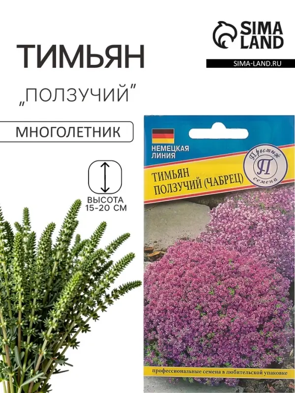 Семена Тимьян ползучий, чабрец, 0.05 г, &laquo;Престиж семена&raquo;